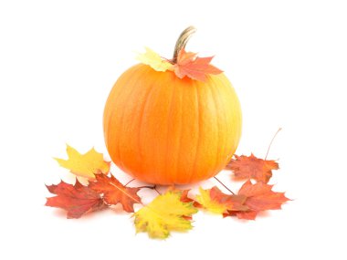 sonbahar dekorasyonu