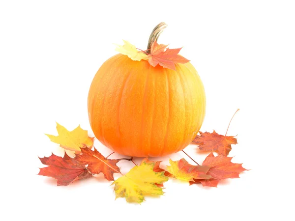 Decoración de otoño —  Fotos de Stock