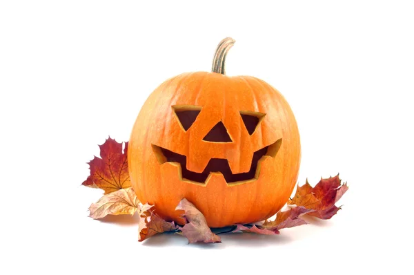 Lantern halloween pumpkin — Stock Photo, Image