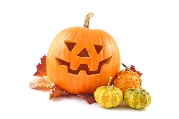 Lantern halloween pumpkin — Stock Photo, Image