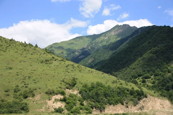 güzel dağ manzarası