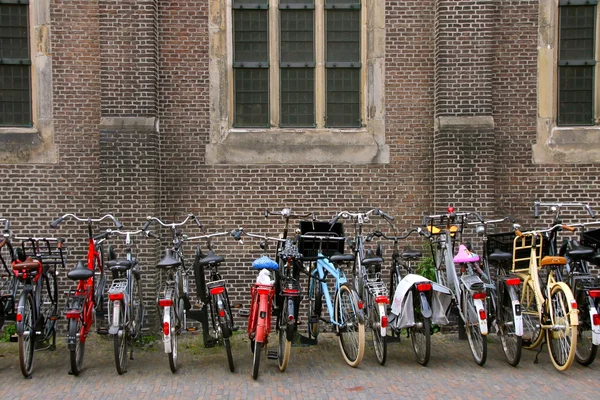 A melhor bicicleta de transporte ! — Fotografia de Stock