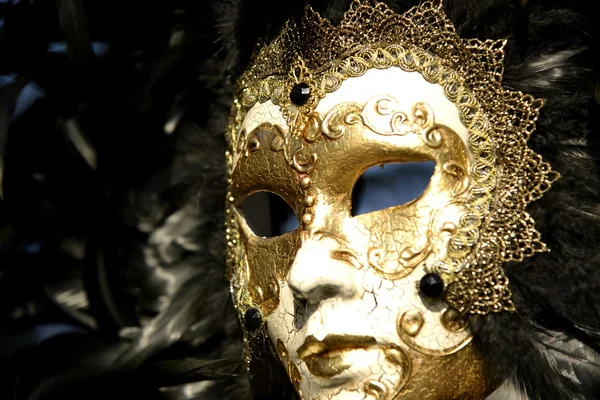 Máscaras de carnaval Imagen de archivo
