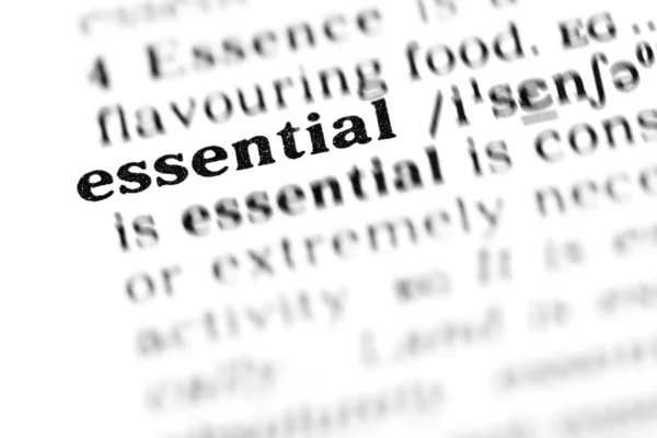 temel sözcük sözlük