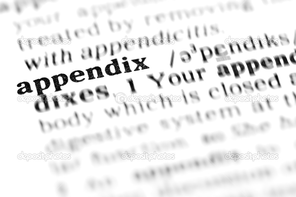 appendix word dictionary