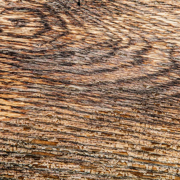 Oude hout textuur achtergrond — Stockfoto