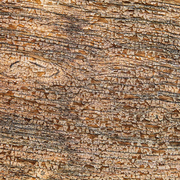 Oude hout textuur achtergrond — Stockfoto