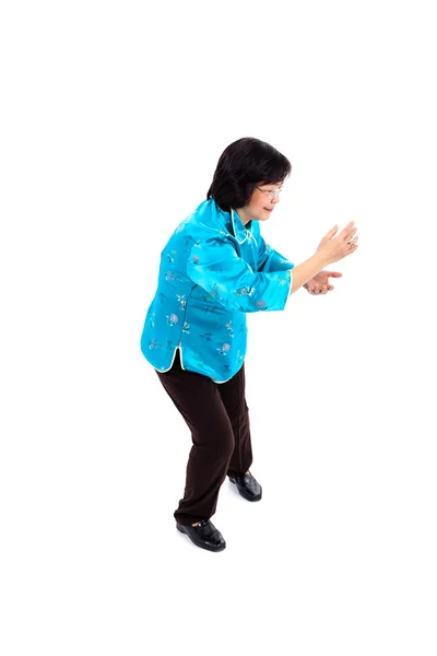 中国の女性の太極拳を実行します — ストック写真