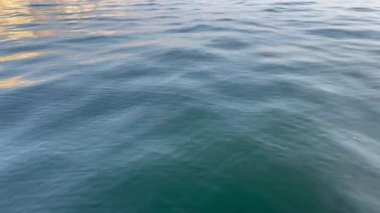 Okyanus dalgaları ve binaların yansımaları bir limanın yakınında çekildi.