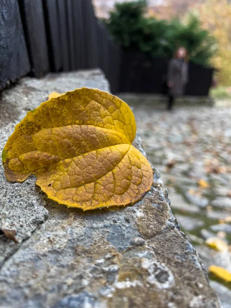 Hoja Caída Viejo Camino Rural Hecho Piedra — Foto de Stock