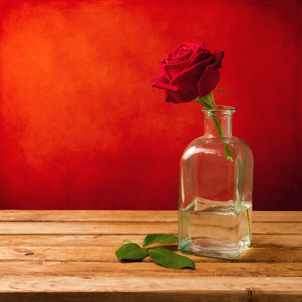 Red rose over red grunge wallpaper