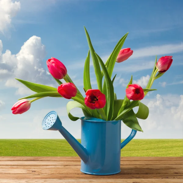 Bouquet de tulipes printanières sur table en bois au-dessus d'un beau ciel bleu — Photo