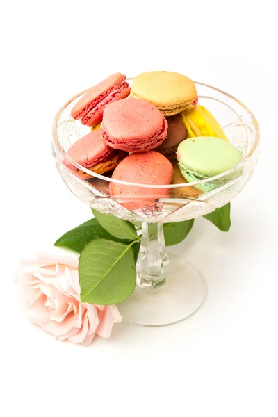 Colorful macaroons and rose on white background — Stock Photo, Image
