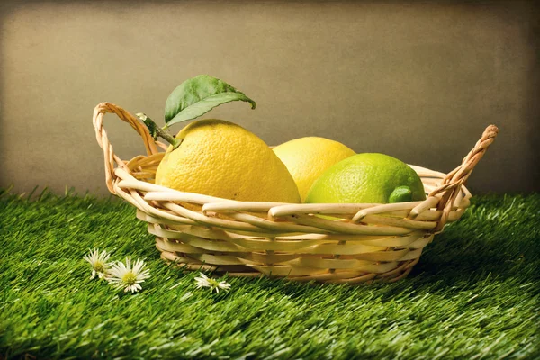 Fresh lemons in basket on grass — Stock Photo, Image