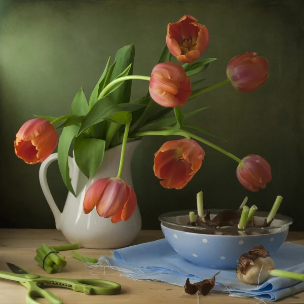 Bodegón con tulipanes rojos y cebollas — Foto de Stock
