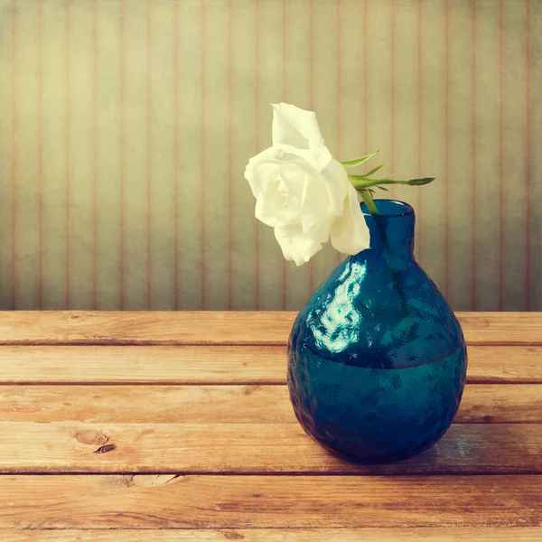 Rosa branca em vaso azul sobre fundo retro — Fotografia de Stock