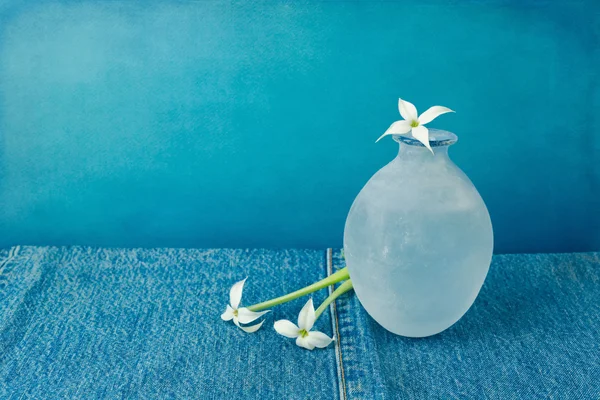 Szüreti vázát a kis fehér virágok — Stock Fotó