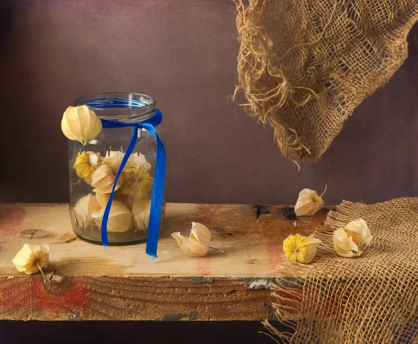 Still life with physalis on wooden board — Stock Photo, Image