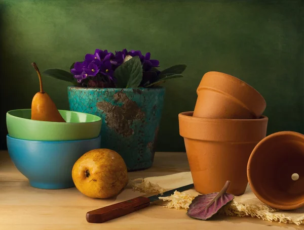 Nature morte avec pots de fleurs et bols sur table en bois — Photo