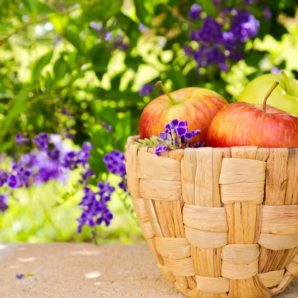 Fresh apples in basket — Stock Photo, Image