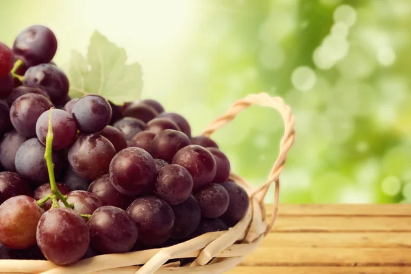 Druiven in mand — Stockfoto