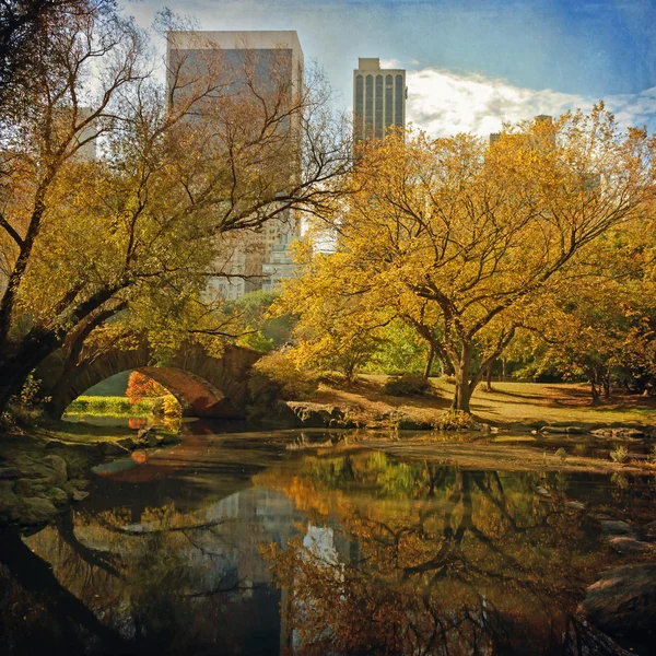 中央公园池塘. — 图库照片