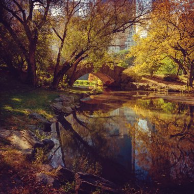 Central park su birikintisi. New york, ABD.