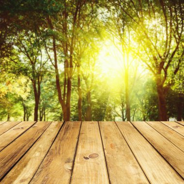 Orman arka plan boş ahşap güverte masaya