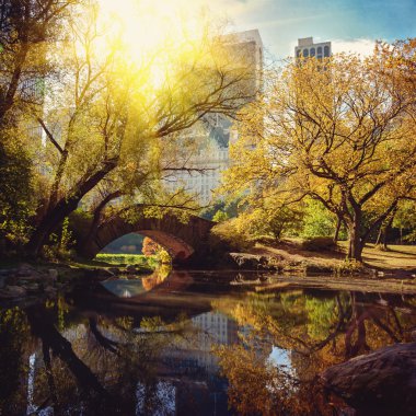 Central Park pond and bridge. New York, USA. clipart