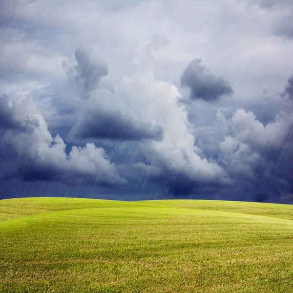 Natuur achtergrond met groene weide — Stockfoto