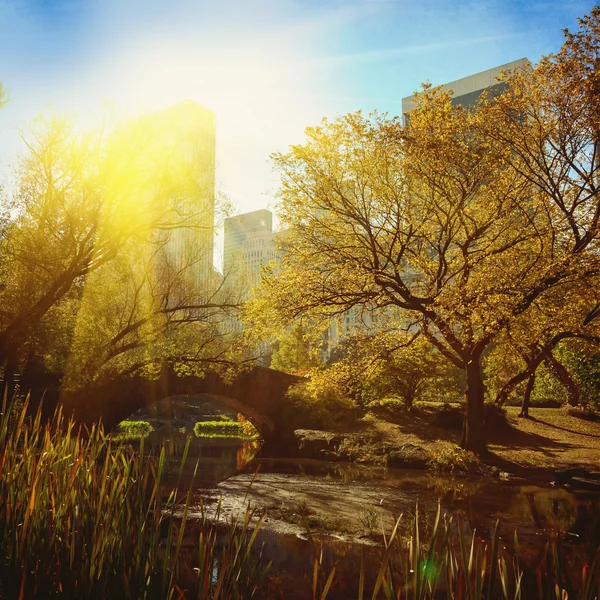 Central park su birikintisi ve köprü. New york, ABD. — Stok fotoğraf