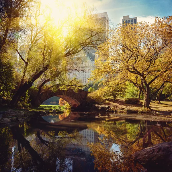 Central park su birikintisi ve köprü. New york, ABD. — Stok fotoğraf