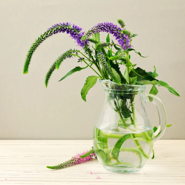 Bloemen in glas pitcheron — Stockfoto