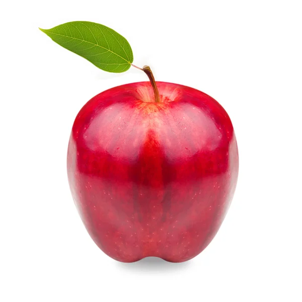 Rött äpple — Stockfoto