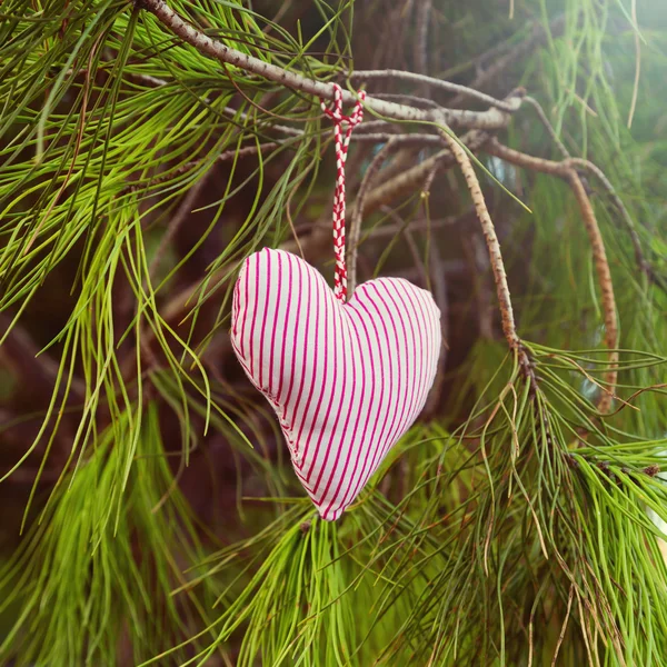 Handgemachtes Herz hängt am Baum — Stockfoto