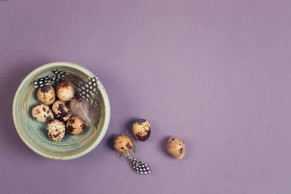 Fond de vacances de Pâques avec oeufs de caille — Photo