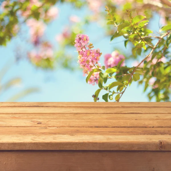 Spring background with wooden deck — Stock Photo, Image
