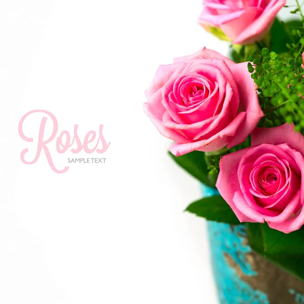 Rosenblüte — Stockfoto