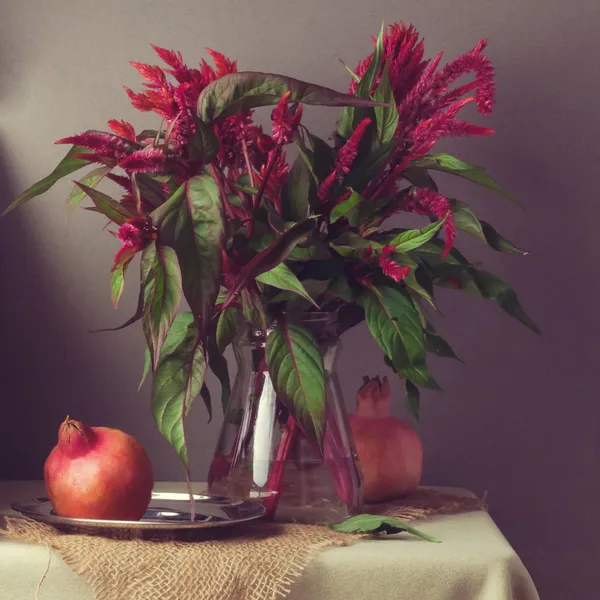 Virágok és gránátalma — Stock Fotó