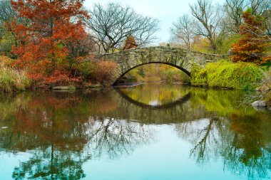 Central Park göleti ve Gapstow köprüsü kışın. - New York. ABD