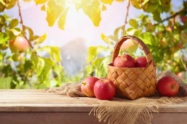 Apples Basket Wooden Table Apple Tree Bokeh Background Autumn Harvest — Stock Photo, Image