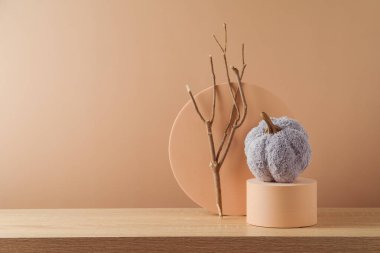 Cadılar Bayramı için modern natürmort kompozisyonu. Bal kabağı ve ağaç dalı bej arka planda podyumda