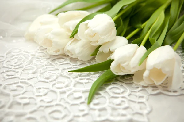 Witte tulpen Stockafbeelding