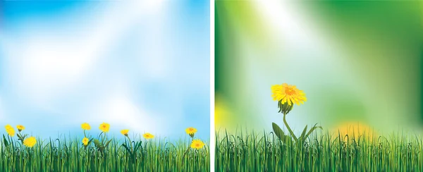 Flowers on the green grass — Stock Vector