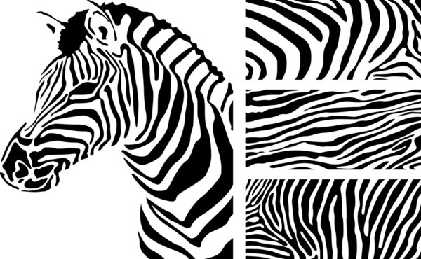 Зебра Принт