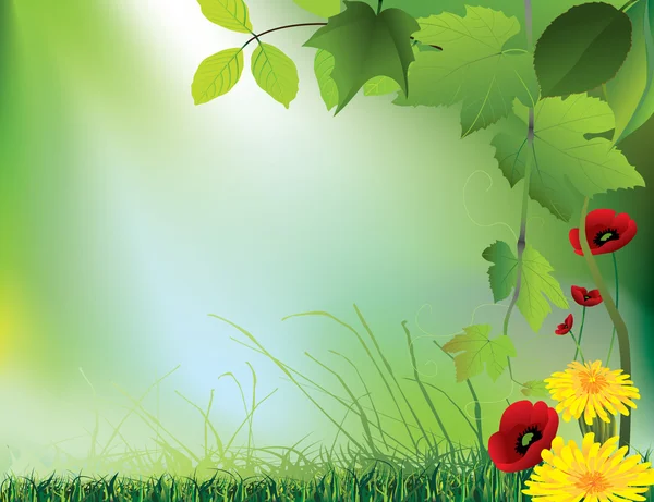 Fleurs sur l'herbe verte — Image vectorielle