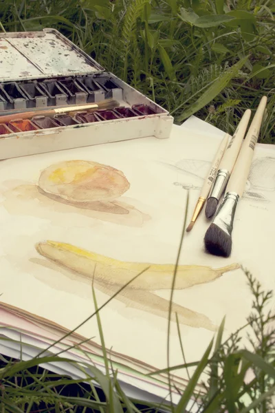 Paints, brushes and drawings on a green grass — Stock Photo, Image