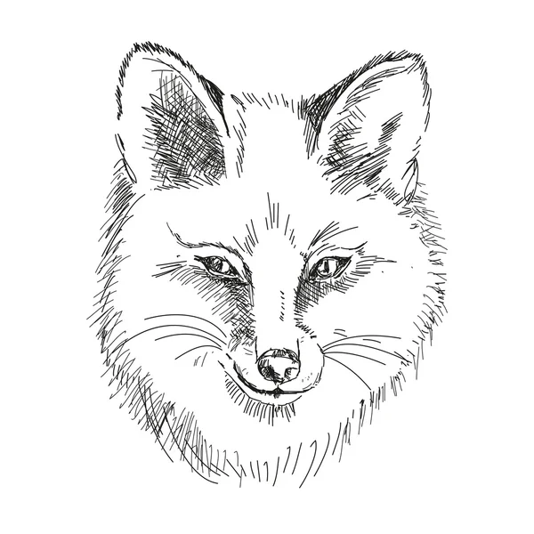 Cabeza de Fox — Vector de stock