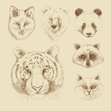 Set of different wild animals
