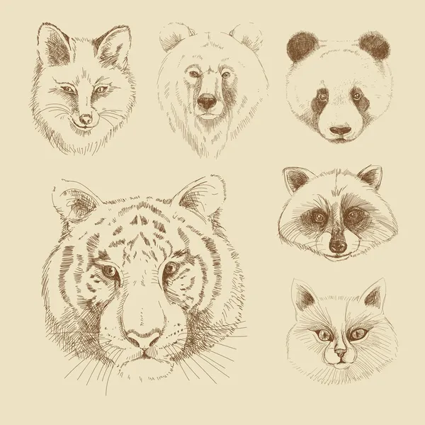 Set of different wild animals Stock Vector